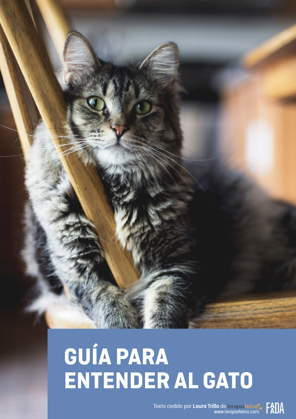 Guia Para Entender Al Gato - eBook