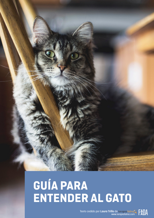 Guia Para Entender Al Gato - eBook