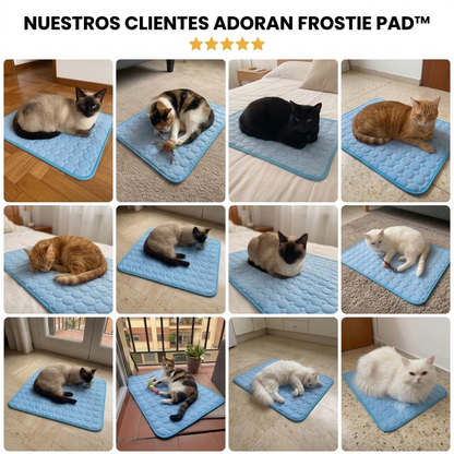 Frostie Pad™ - Protege a tu gato del calor